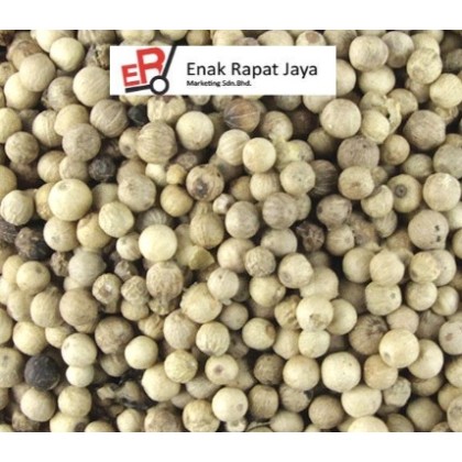 BIJI LADA PUTIH [1kg]