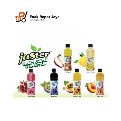JUSTER FRUIT DRINK [24x360ml]