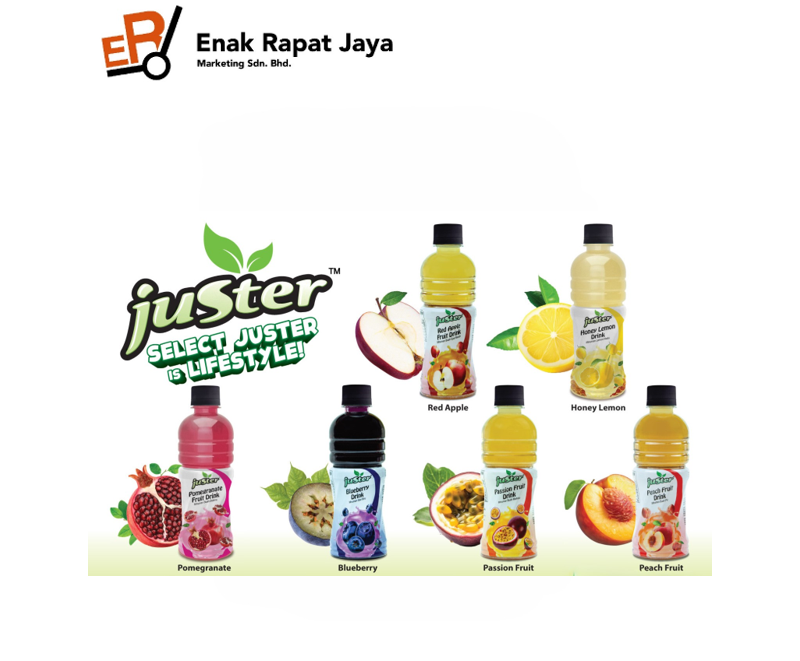 JUSTER FRUIT DRINK [24x360ml]