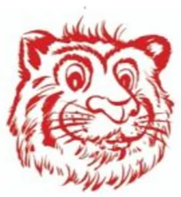 TIGER HEAD